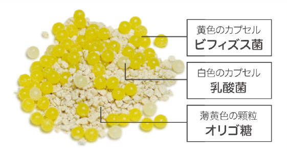 ビフィパック　3箱　新品未開封