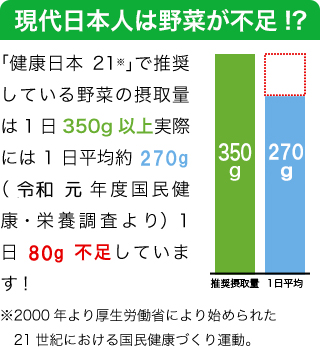 人の健康に必要な栄養素が野菜でたくさん摂れるからです