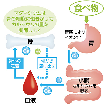 溶けやすいL型発酵乳酸カルシウムをイオン化【エルイオンカルシウム8910】大瓶　720ml入り