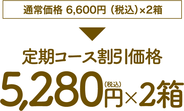 定期コース割引価格5,280円×2箱