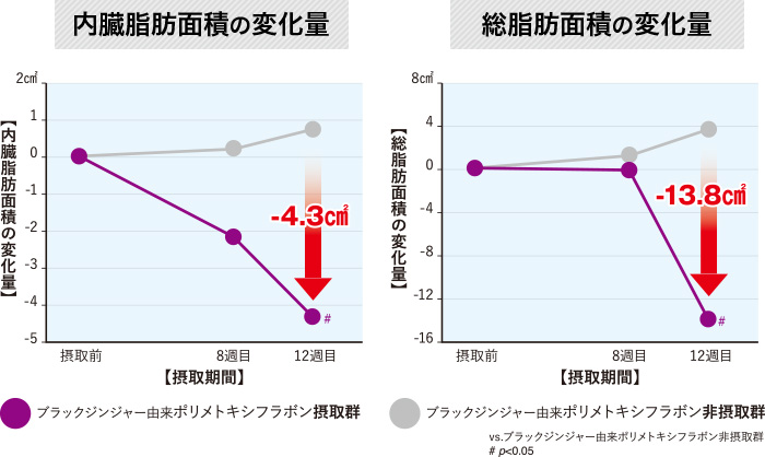 腹部の脂肪を減らす