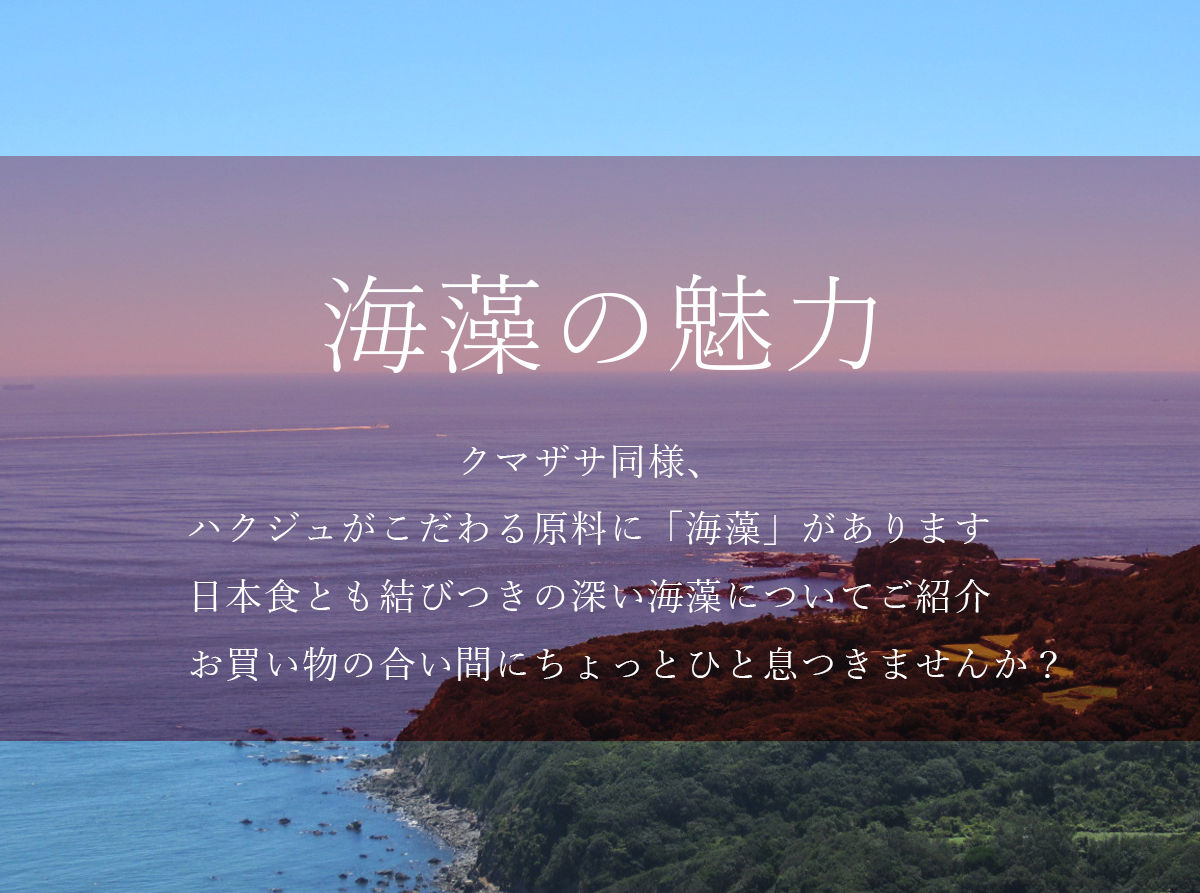お知らせサムネイル