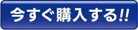 今すぐ購入する!!