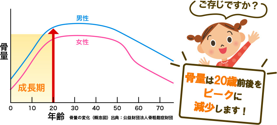 成長期はカルシウム摂取の最重要時期です