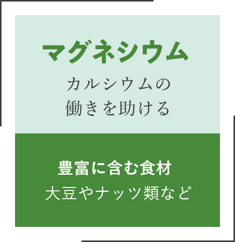 効率よくカルシウムを摂るには？