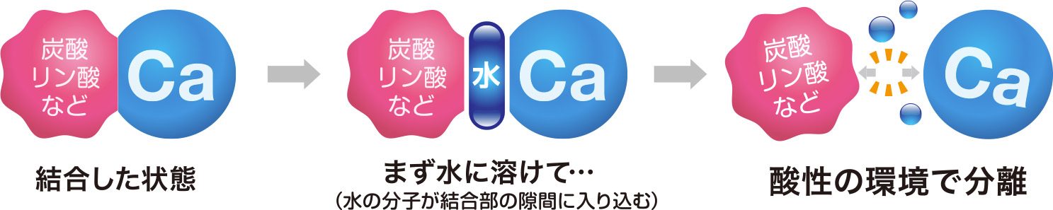 カルシウムの吸収には「イオン化」が必須！