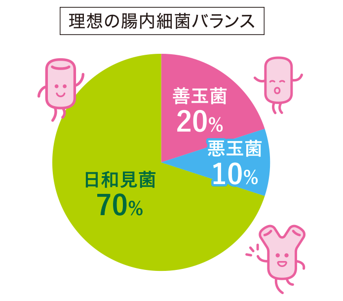 良い腸内細菌バランスとは