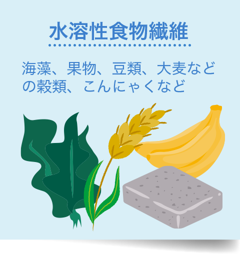 水溶性食物繊維