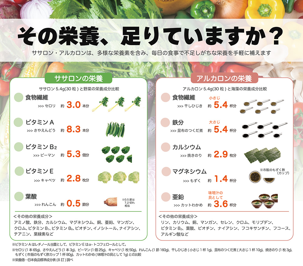 野菜換算チラシ