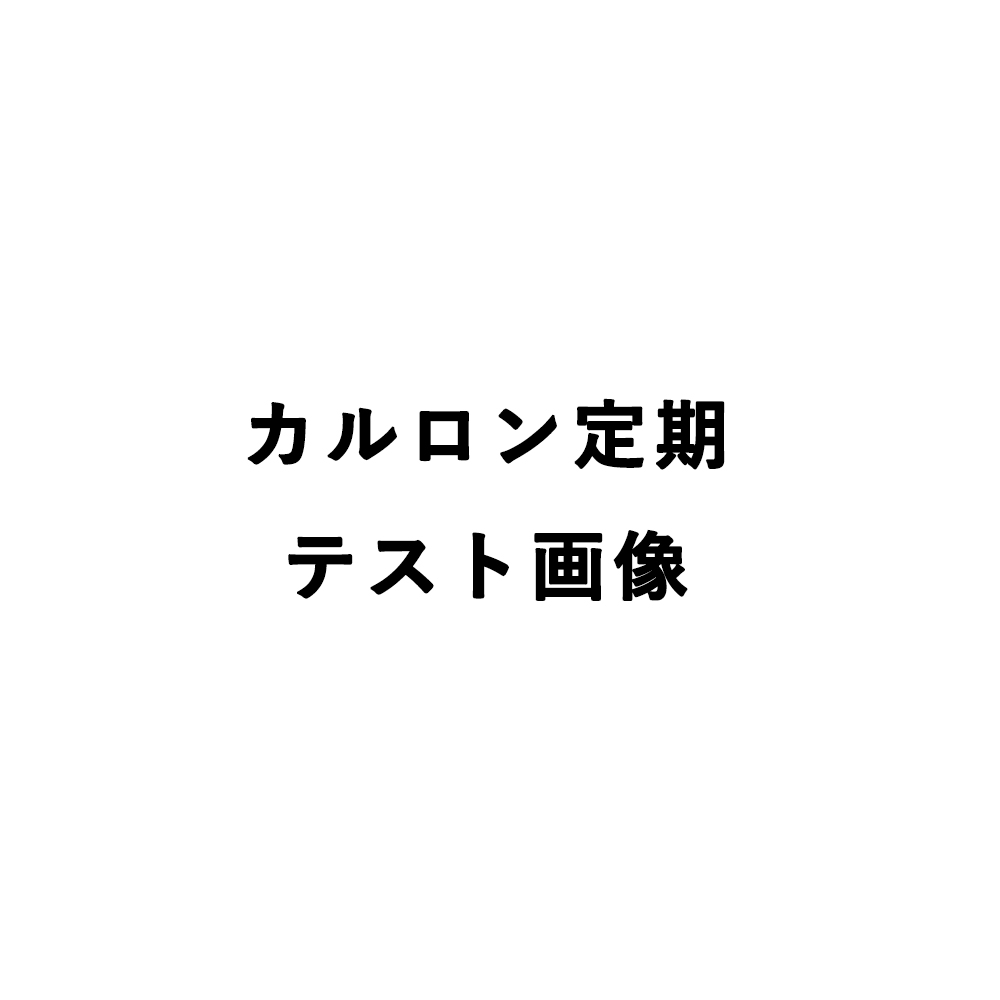 カルロン1ケース