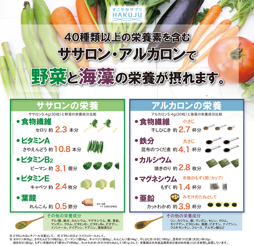 不溶性・水溶性2種類の食物繊維サプリ【ササロン・アルカロン顆粒】1包2g×各60包（約1ヶ月分） 食物繊維 サプリ オリゴ糖配合